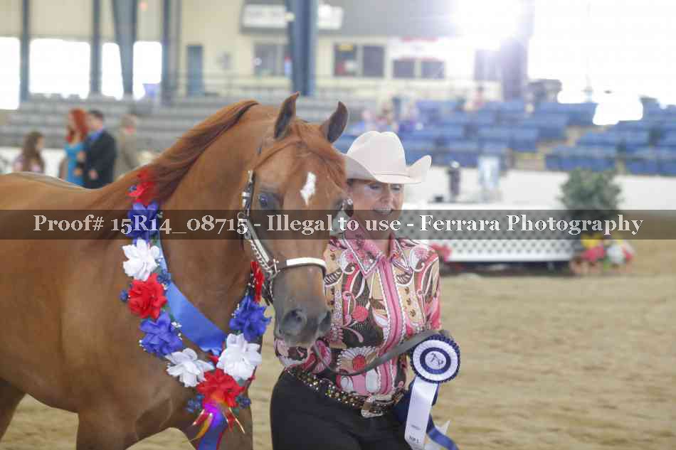 Proof Number 15R14_08715