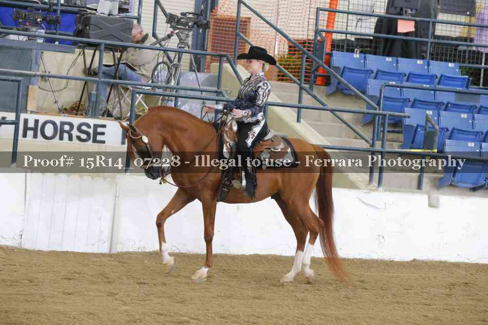 Proof Number 15R14_07228