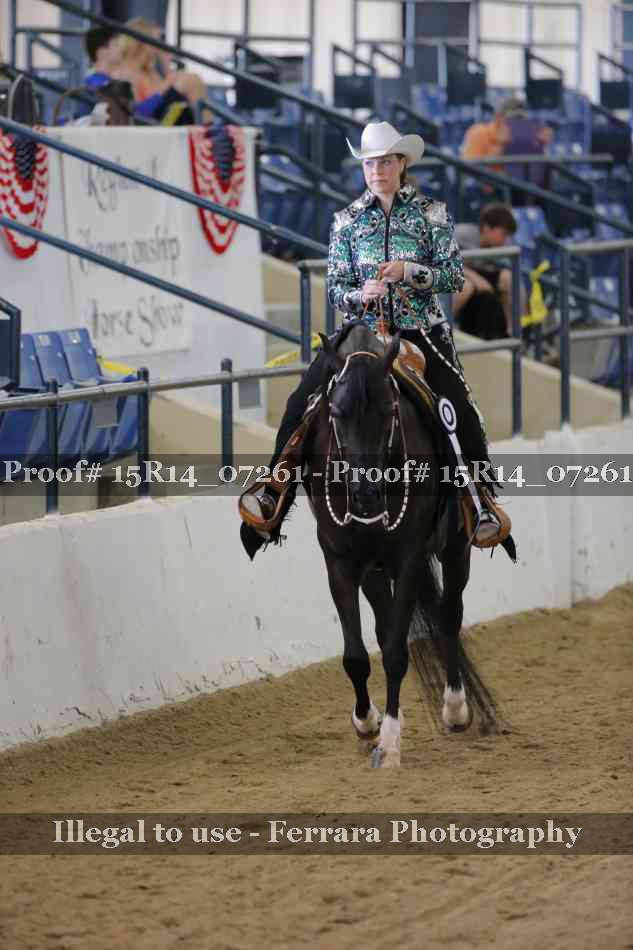Proof Number 15R14_07261