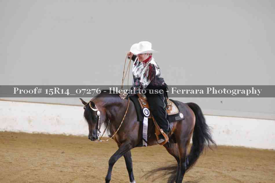 Proof Number 15R14_07276