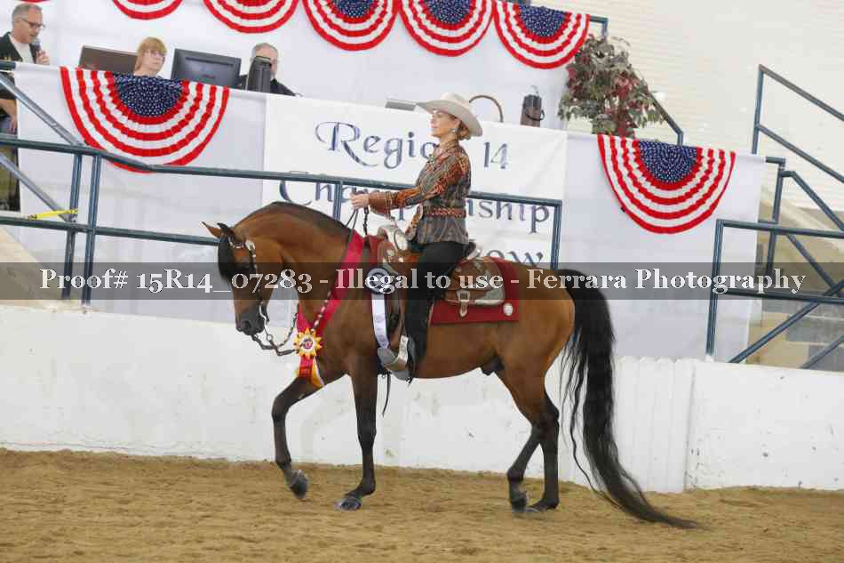 Proof Number 15R14_07283