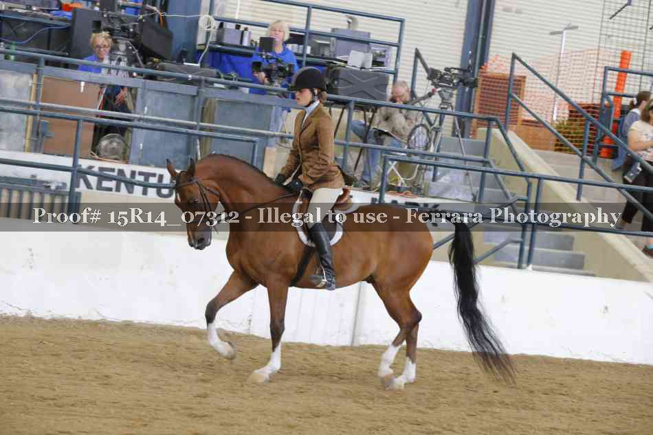 Proof Number 15R14_07312