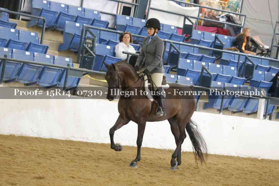 Proof Number 15R14_07319