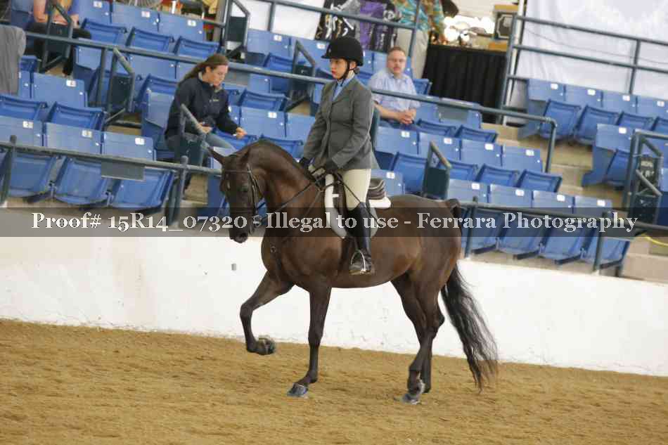 Proof Number 15R14_07320