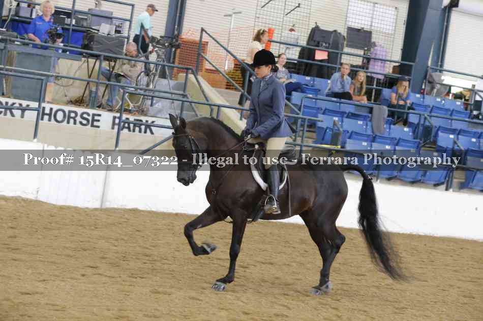 Proof Number 15R14_07322