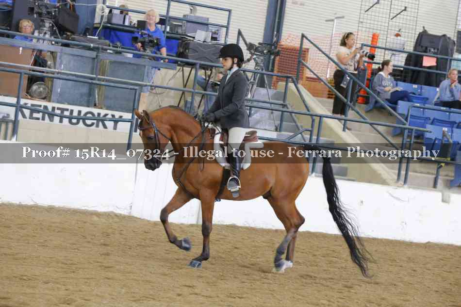 Proof Number 15R14_07324