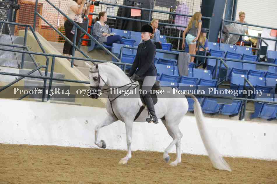 Proof Number 15R14_07325
