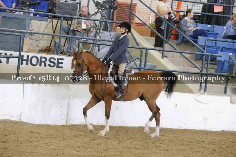 Proof Number 15R14_07328