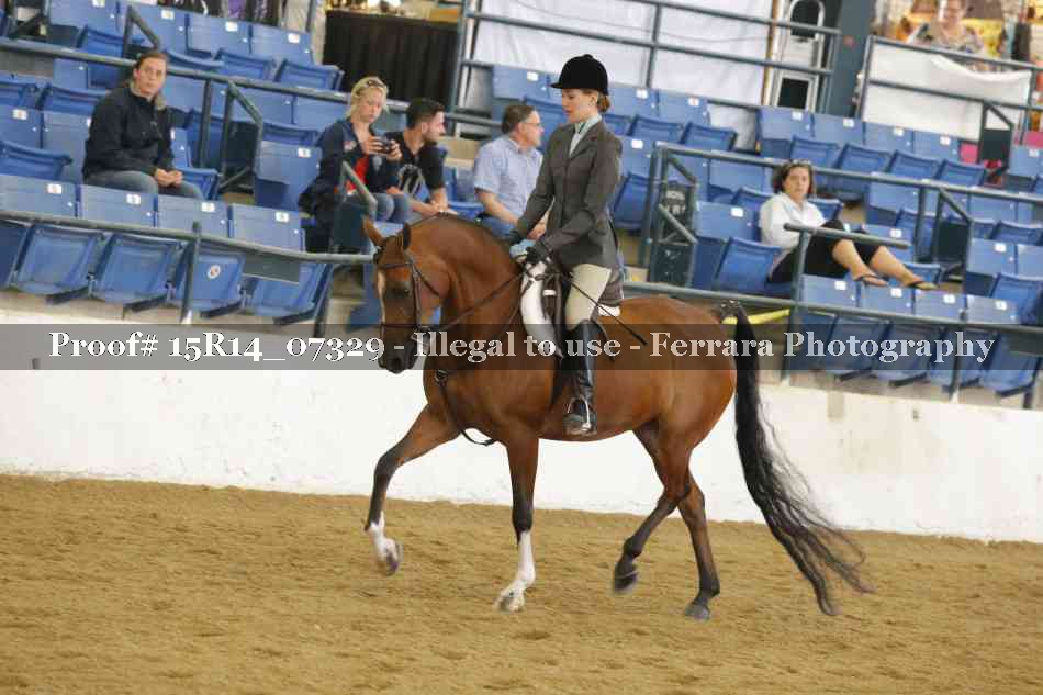 Proof Number 15R14_07329