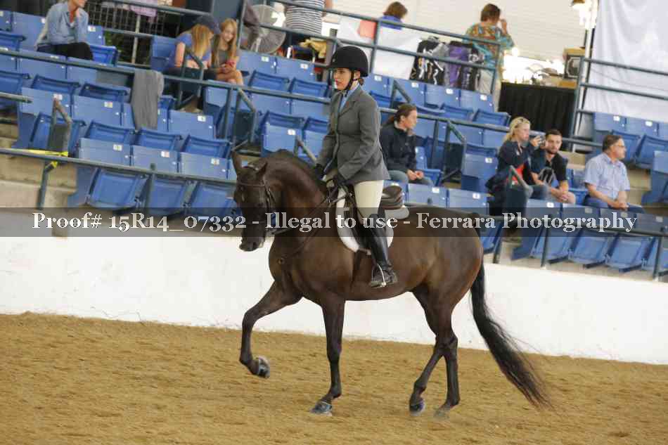 Proof Number 15R14_07332