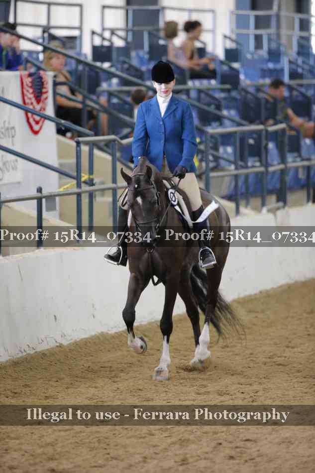 Proof Number 15R14_07334