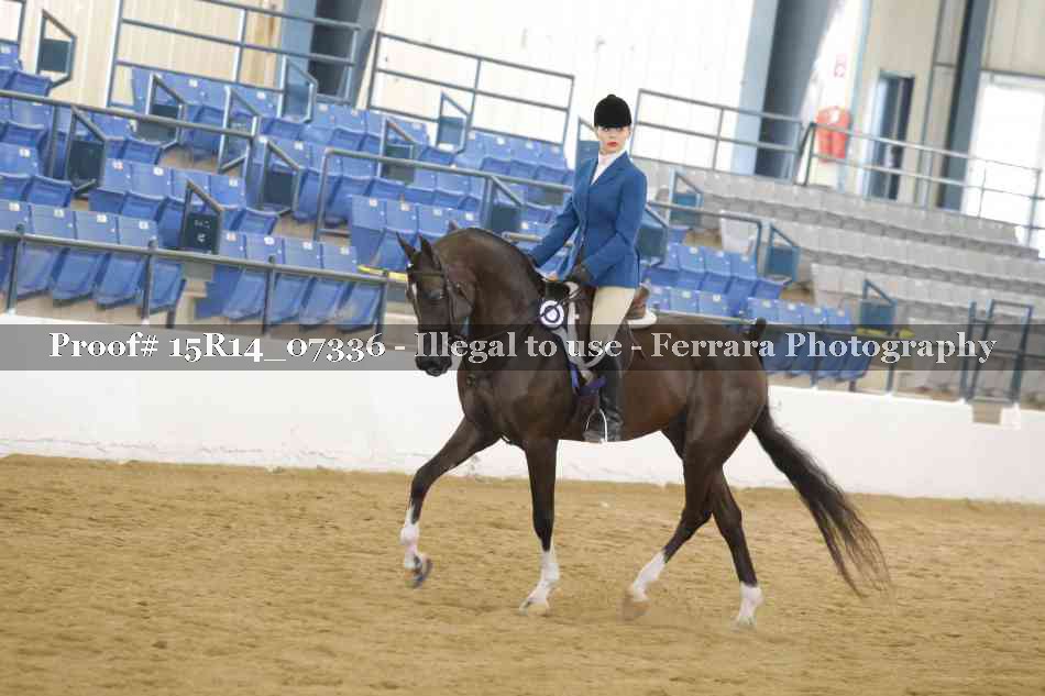 Proof Number 15R14_07336