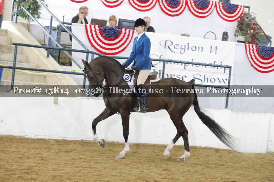 Proof Number 15R14_07338