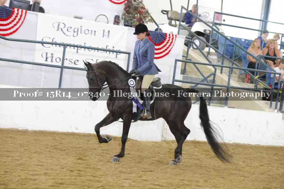 Proof Number 15R14_07340