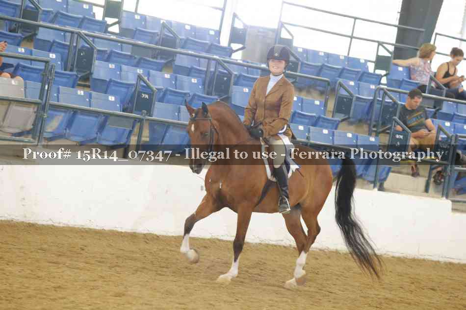 Proof Number 15R14_07347