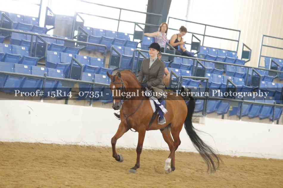 Proof Number 15R14_07351