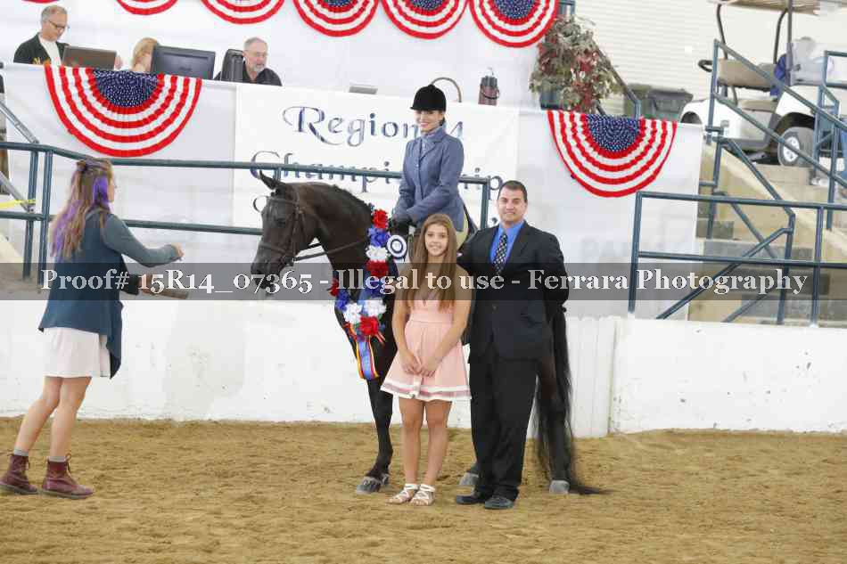 Proof Number 15R14_07365