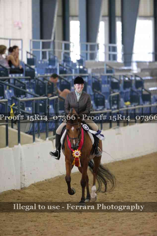 Proof Number 15R14_07366