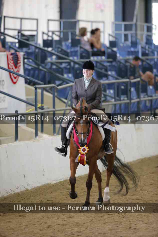 Proof Number 15R14_07367