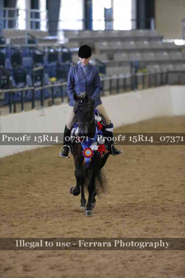 Proof Number 15R14_07371