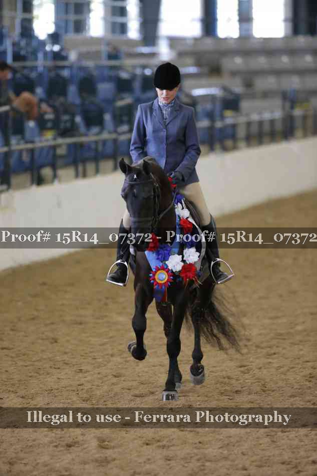 Proof Number 15R14_07372