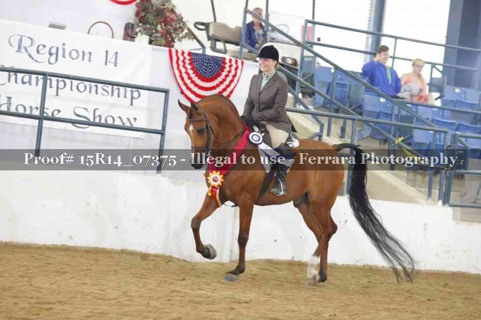 Proof Number 15R14_07375
