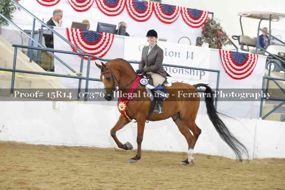Proof Number 15R14_07376