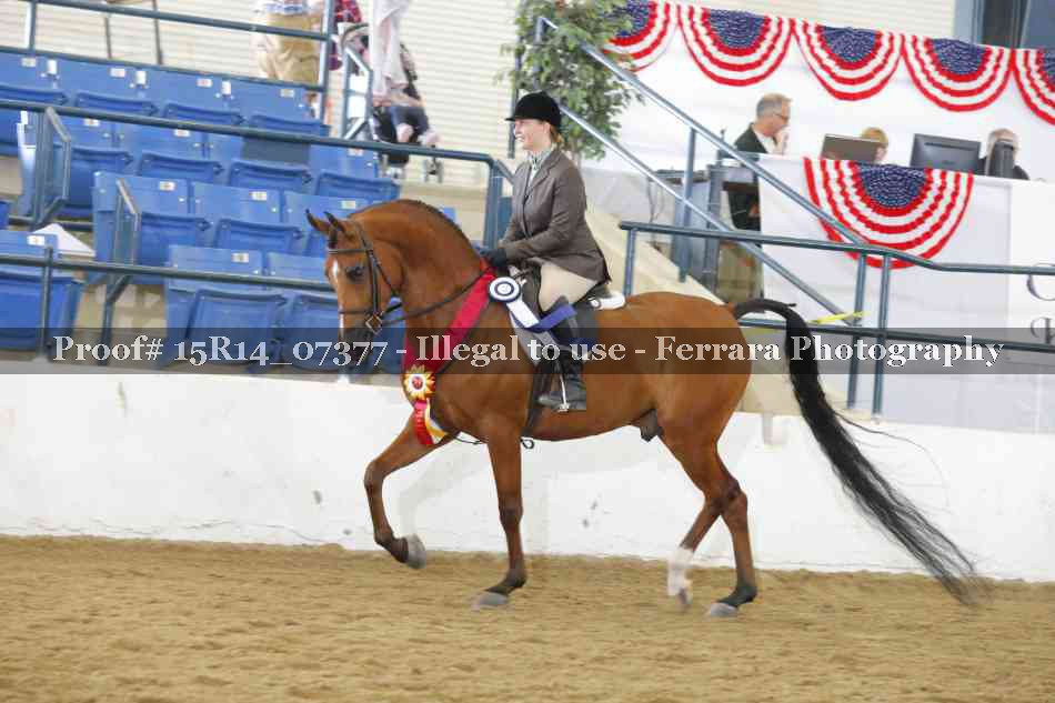 Proof Number 15R14_07377