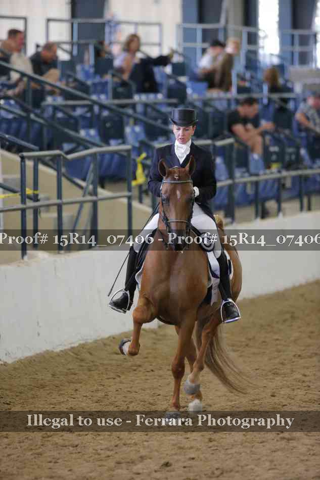 Proof Number 15R14_07406