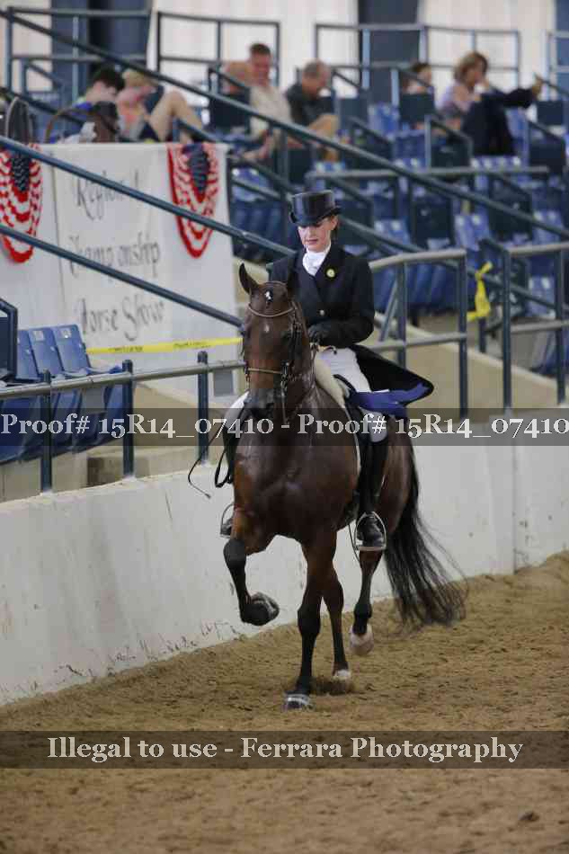 Proof Number 15R14_07410