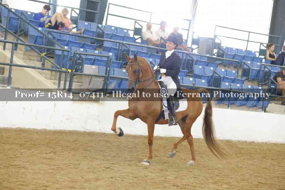 Proof Number 15R14_07411