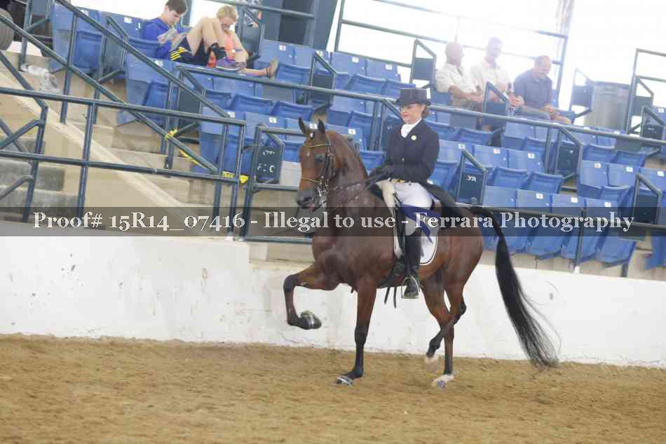 Proof Number 15R14_07416