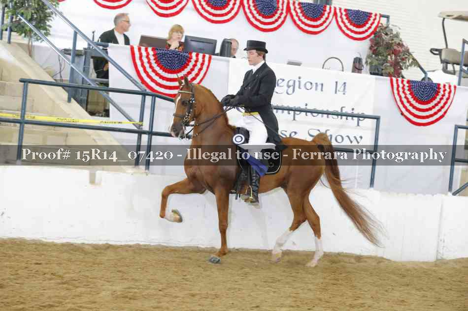 Proof Number 15R14_07420