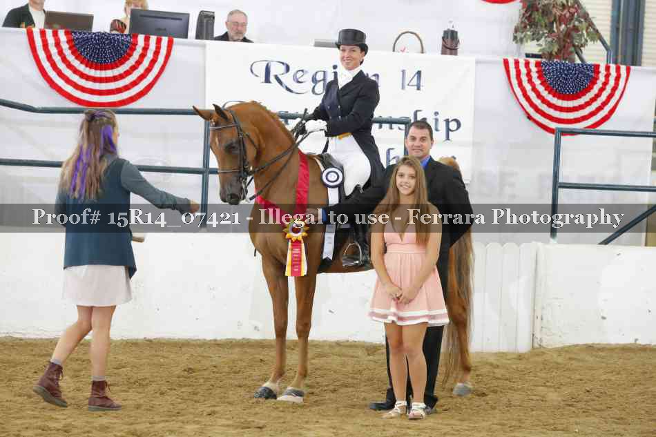 Proof Number 15R14_07421