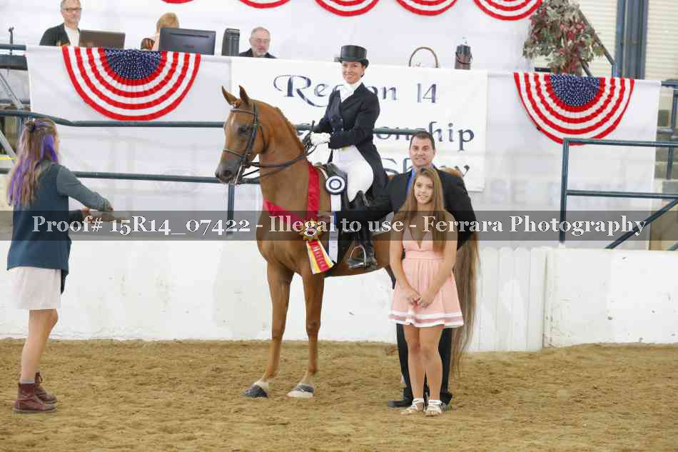 Proof Number 15R14_07422