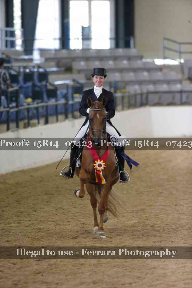Proof Number 15R14_07423