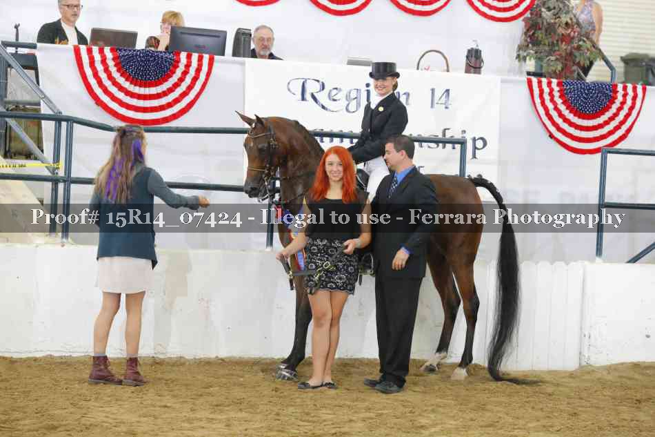 Proof Number 15R14_07424