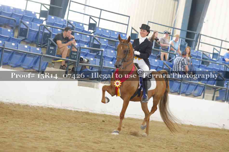 Proof Number 15R14_07426