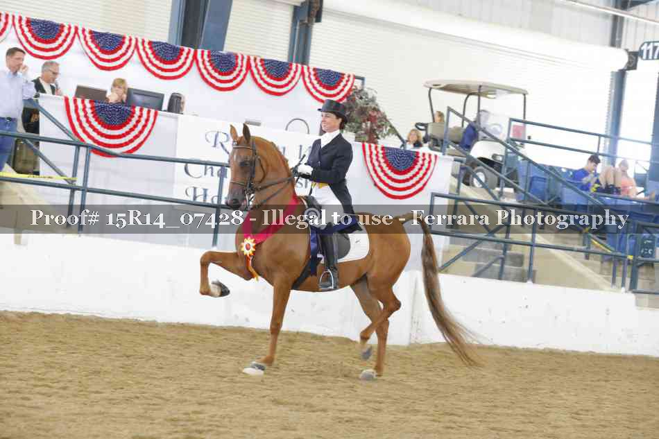 Proof Number 15R14_07428