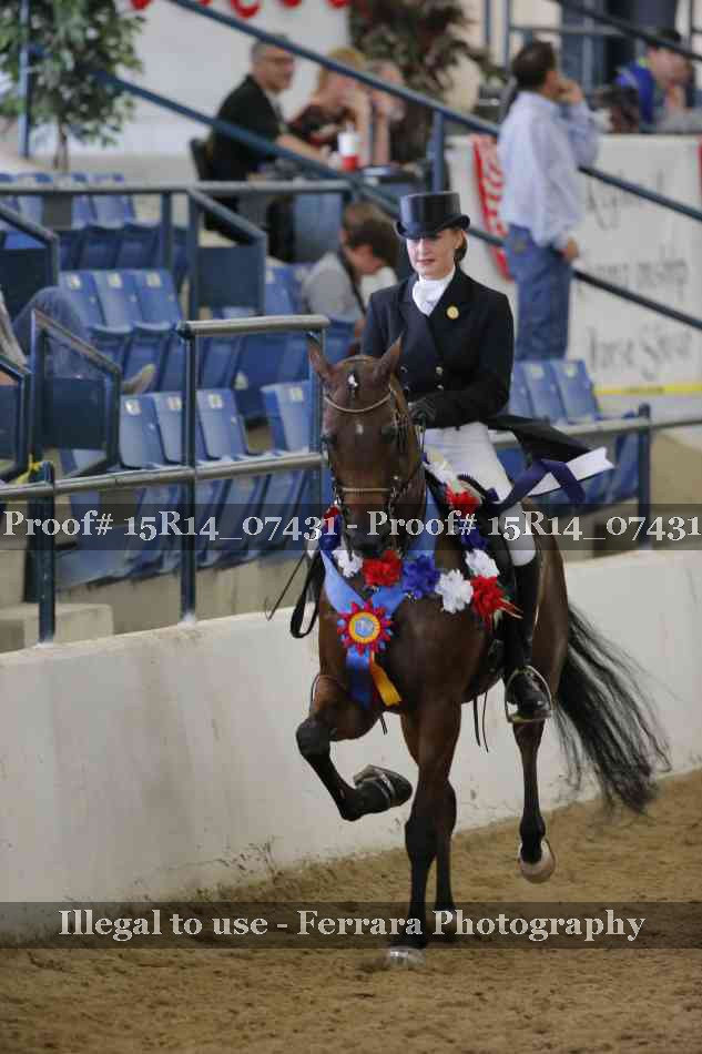 Proof Number 15R14_07431