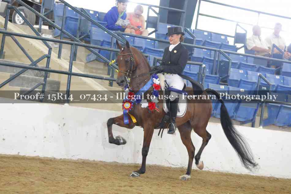 Proof Number 15R14_07434