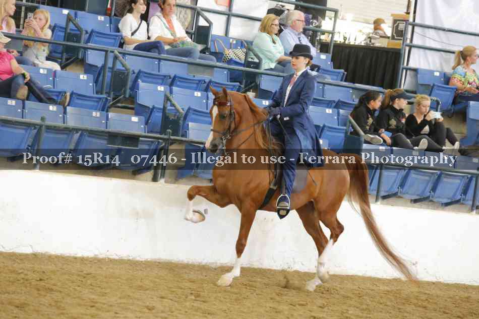 Proof Number 15R14_07446