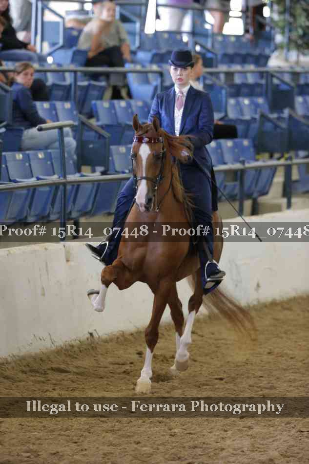 Proof Number 15R14_07448