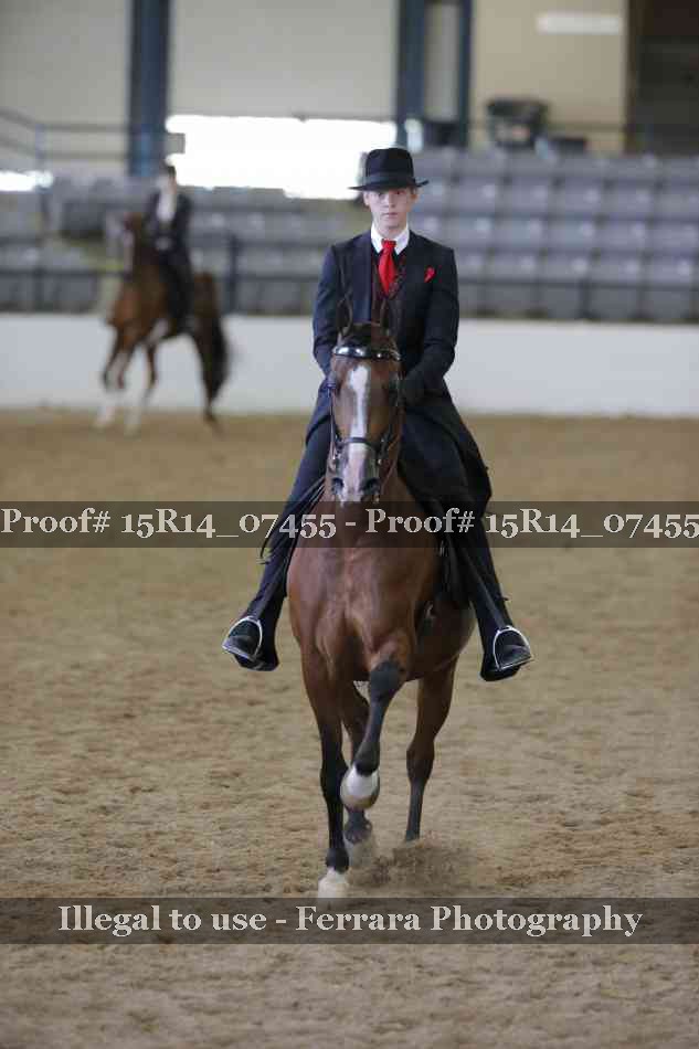Proof Number 15R14_07455