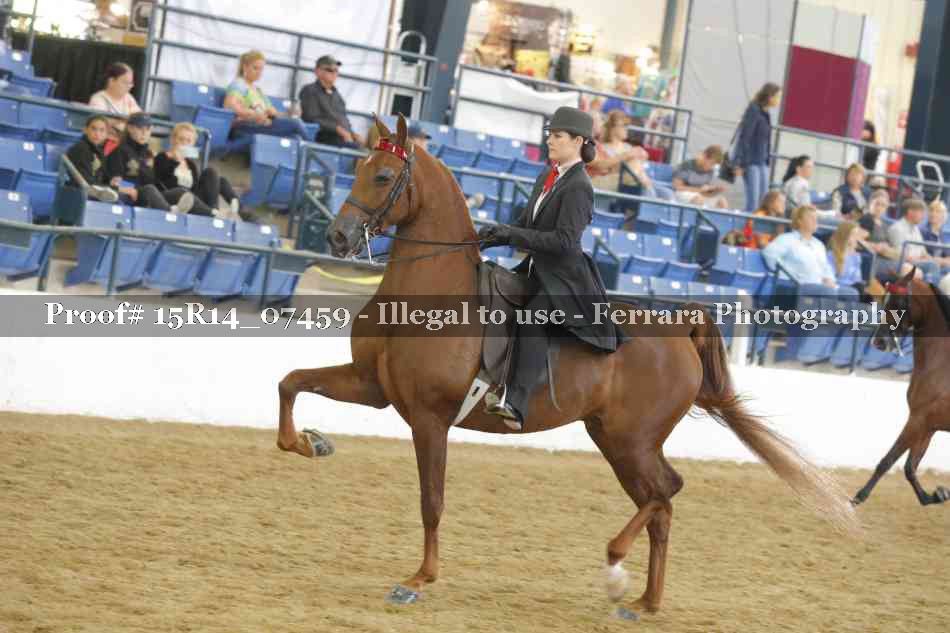 Proof Number 15R14_07459