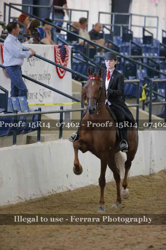 Proof Number 15R14_07462