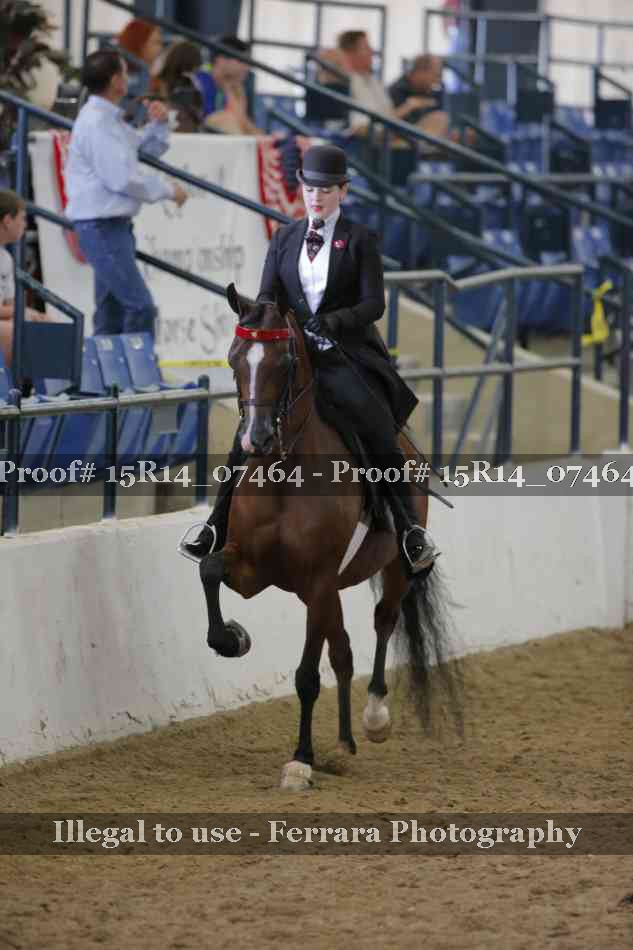 Proof Number 15R14_07464