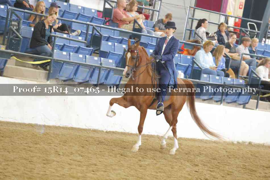 Proof Number 15R14_07465