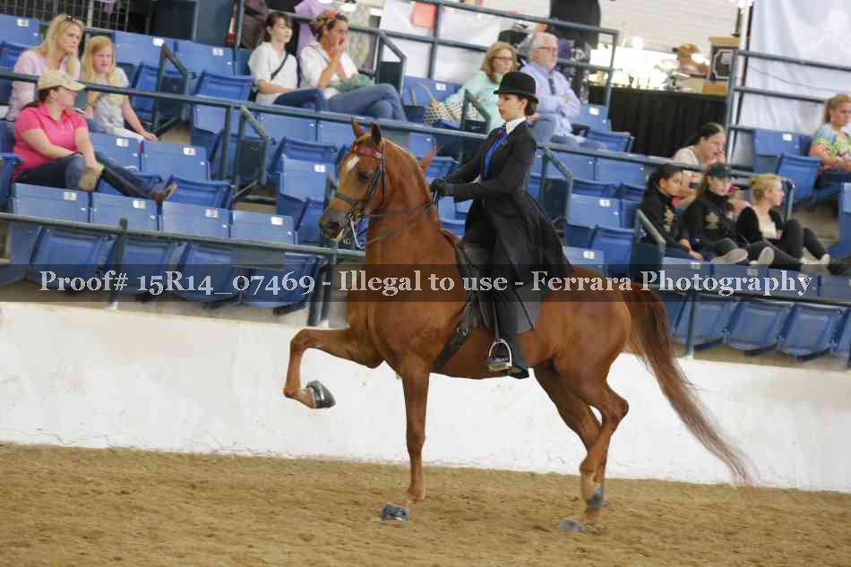 Proof Number 15R14_07469