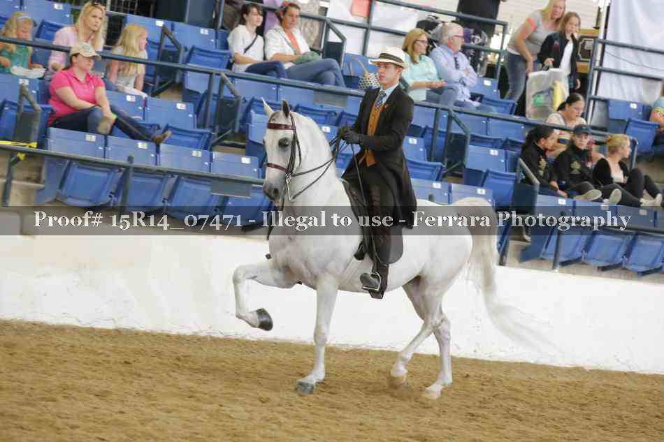 Proof Number 15R14_07471